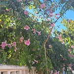 La Mata, * Торевьиа